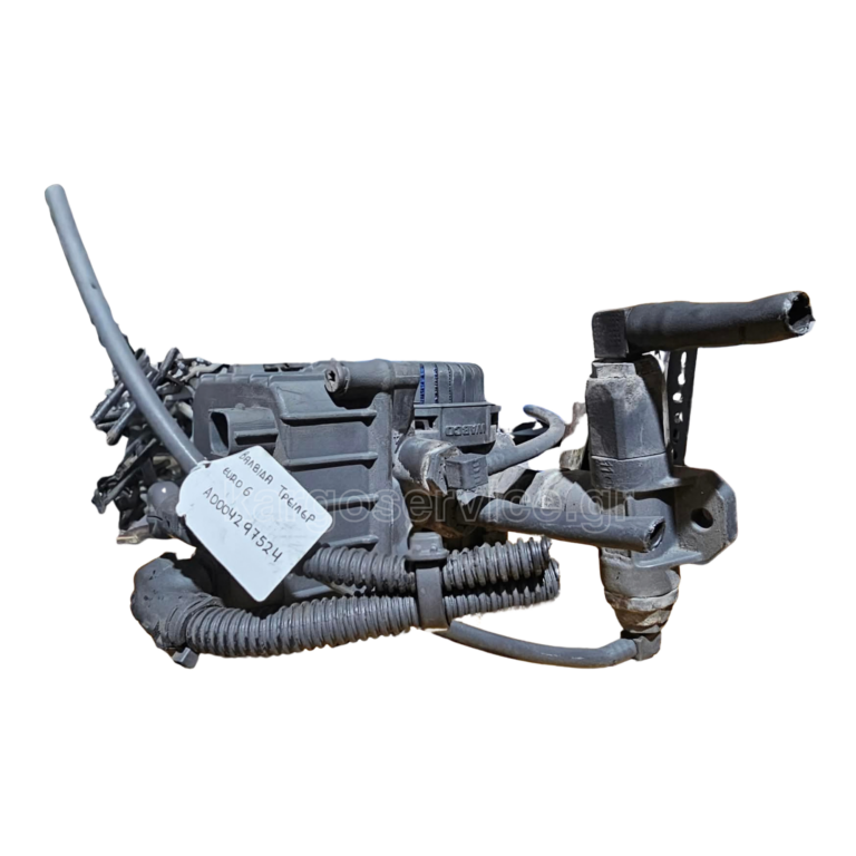 A0004297524