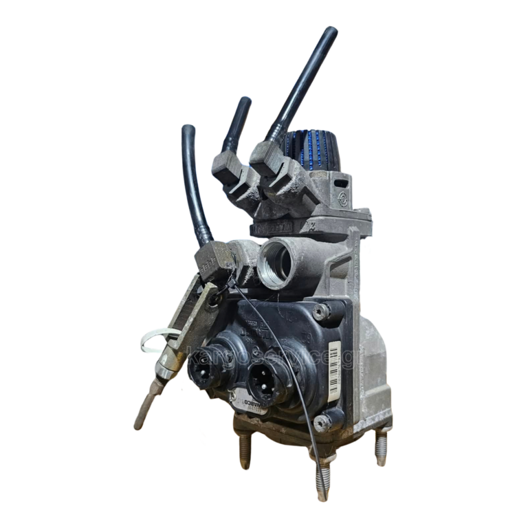 A0034319506